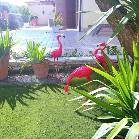 Апартаменты Casa Giardino Сан-Бенедетто-дель-Тронто Экстерьер фото