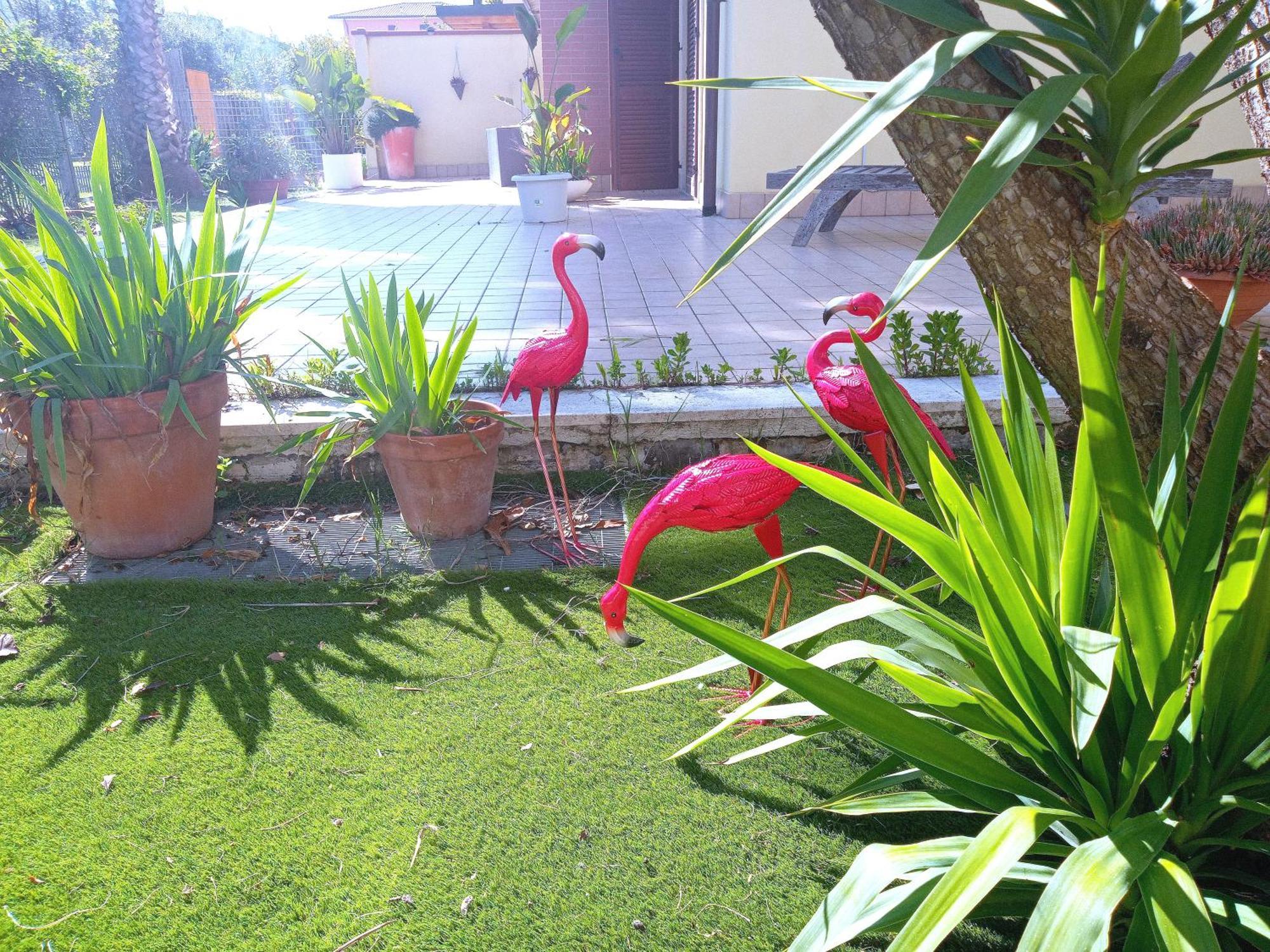 Апартаменты Casa Giardino Сан-Бенедетто-дель-Тронто Экстерьер фото